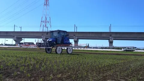 乾田防除作業写真