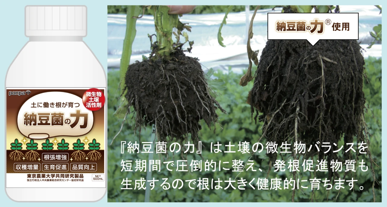 （株）エーピーコーポレーション