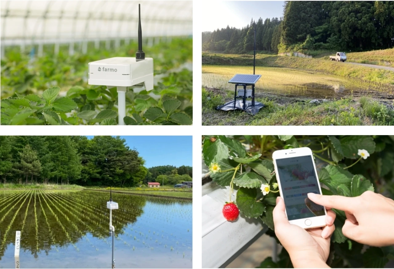 （株）farmo　　