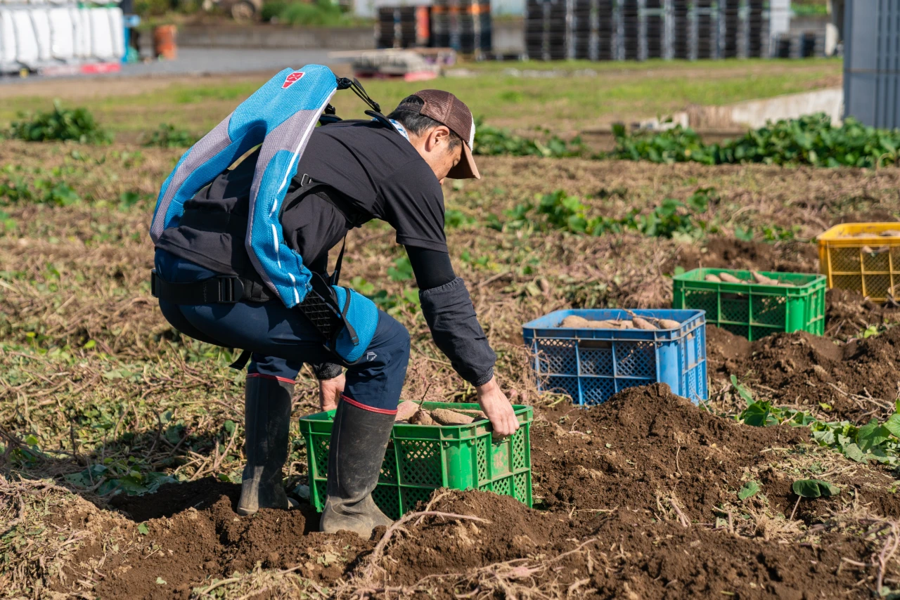 （株）イノフィス