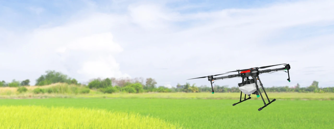 （株）スリー・エス