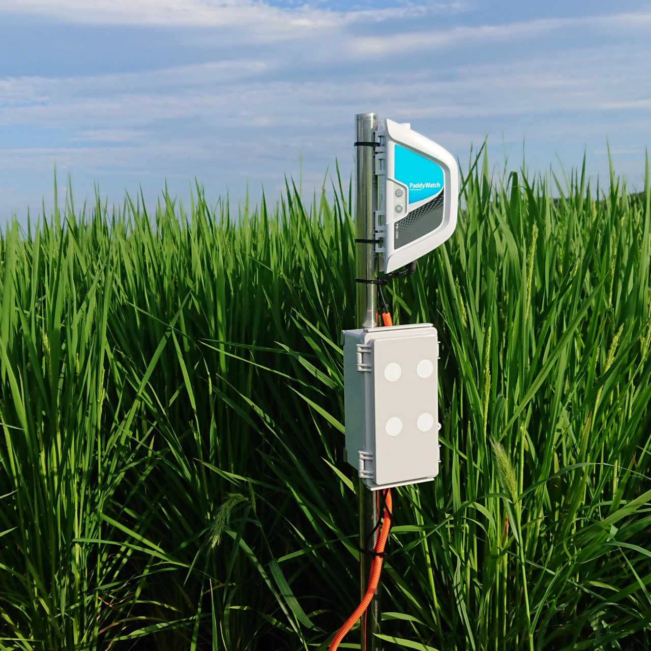 ベジタリア（株）