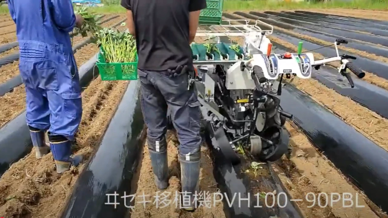 【甘藷】移植機でツル苗の移植を行いました