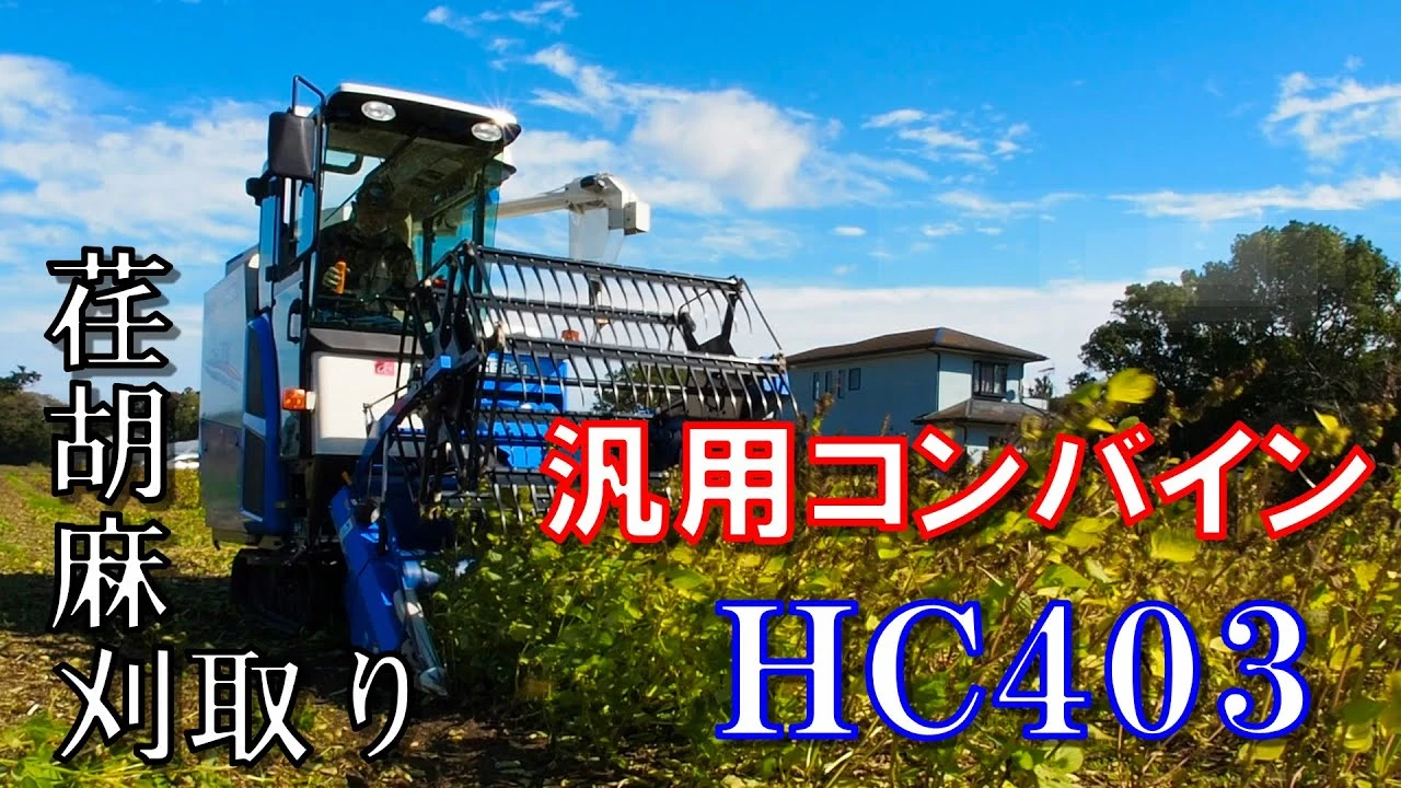 汎用コンバイン「HC403」で荏胡麻の収穫