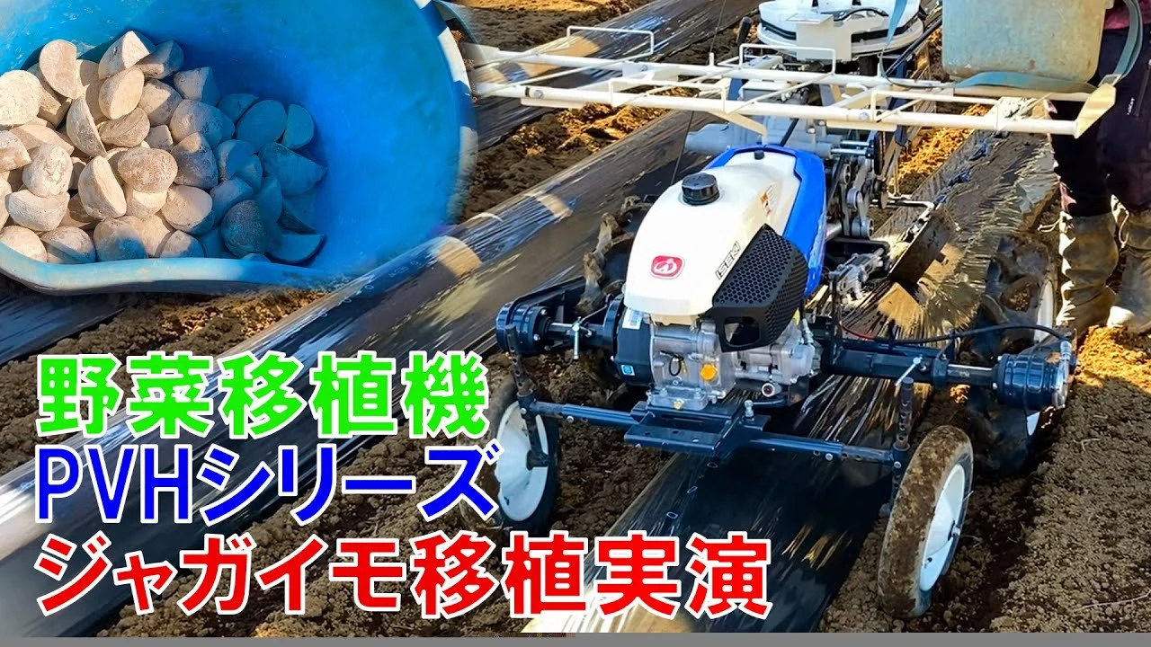 野菜移植機PVH100で種芋の植付け