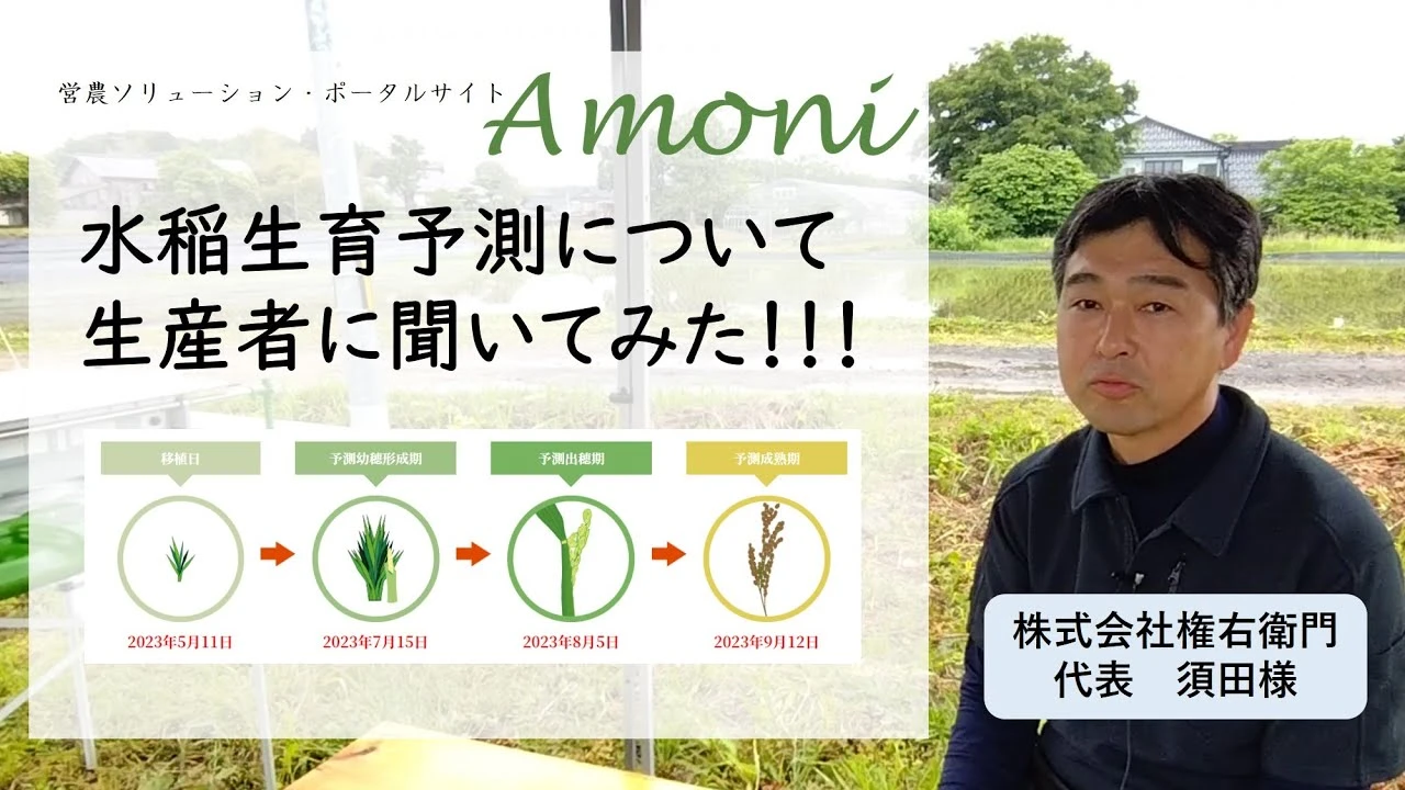 水稲生育予測について生産者に聞いてみた