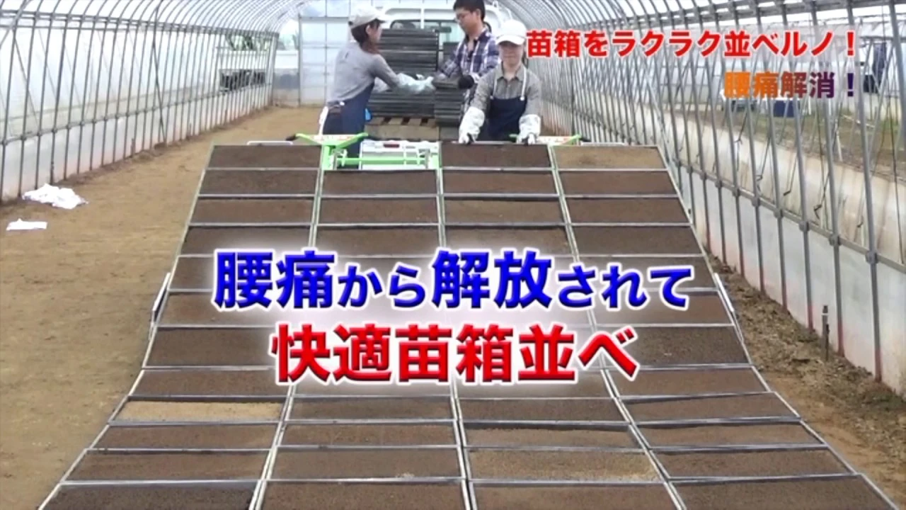 腰を曲げずに苗箱並べ　