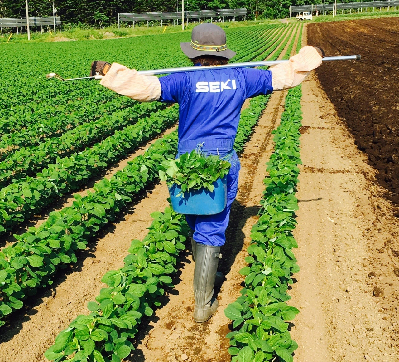 京極町 髙木農園 ｢農家なarico｣