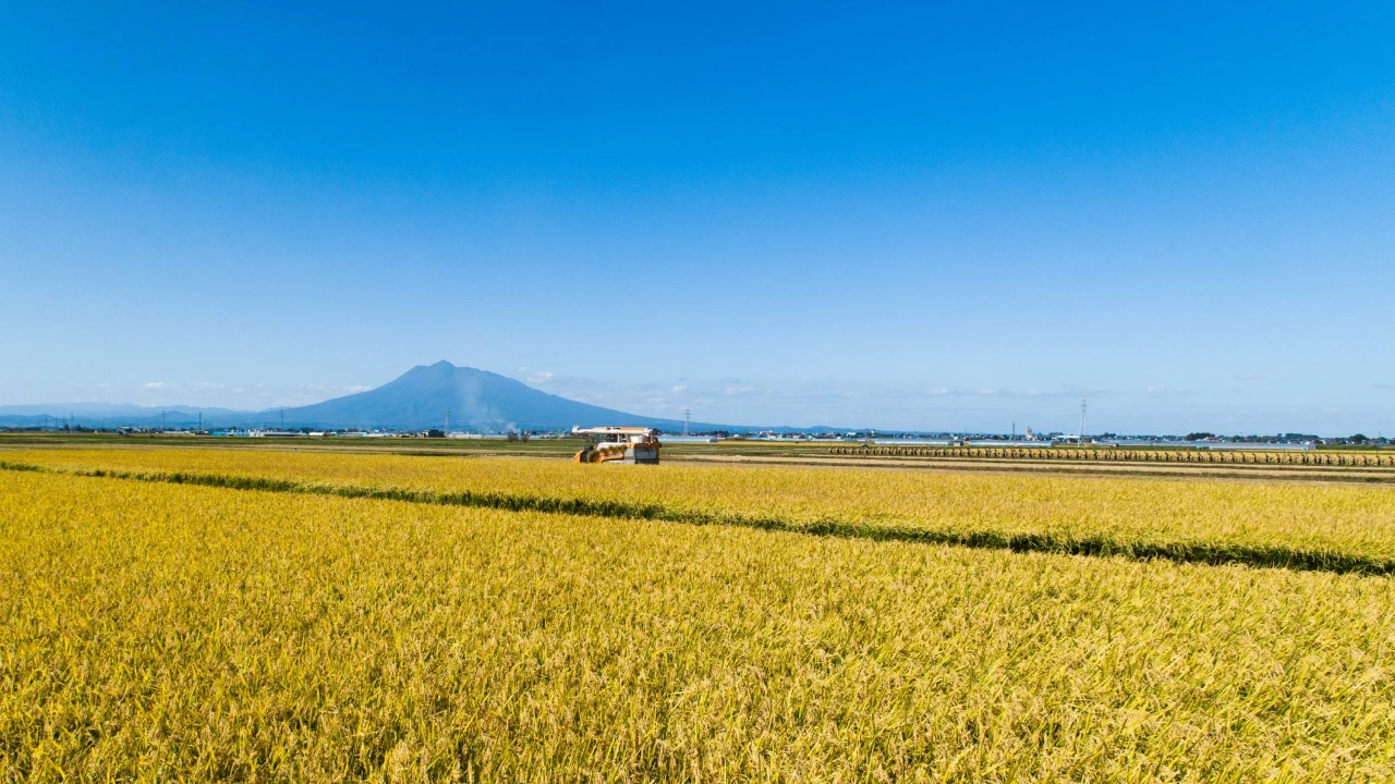 株式会社アグリーンハート