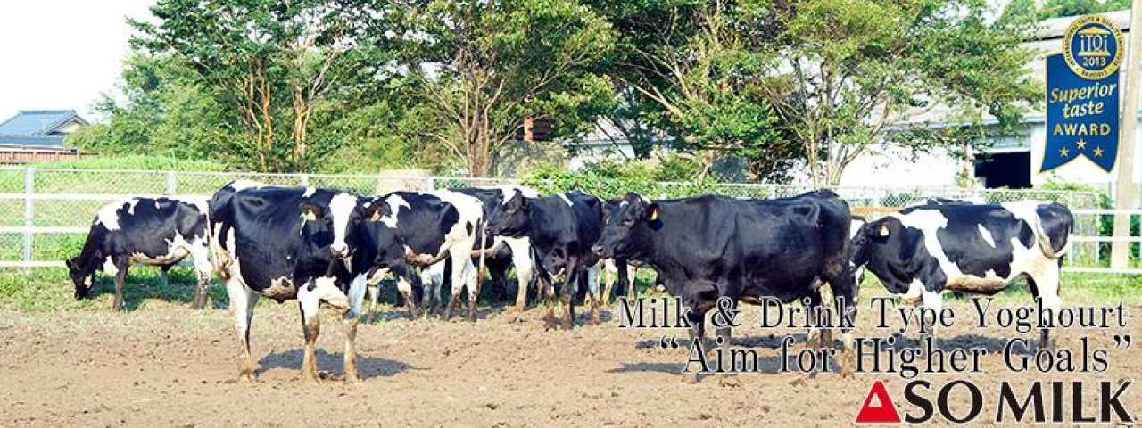 有限会社阿部牧場