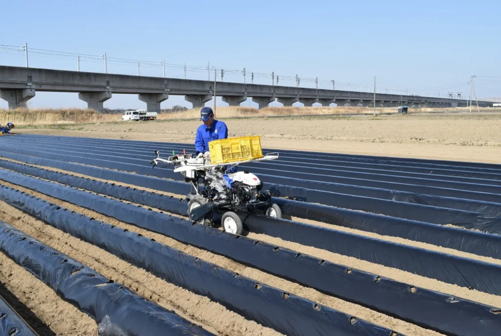 移植機を使用して移植作業を行っているところ