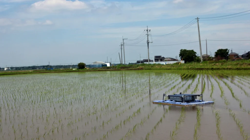 有機水田で自動抑草ロボットテスト中！