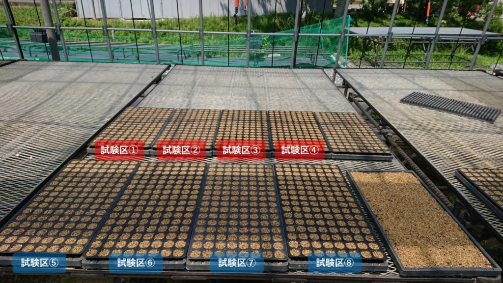 播種の2日後に日照量とかん水量の試験用トレイをハウスに並べたところ