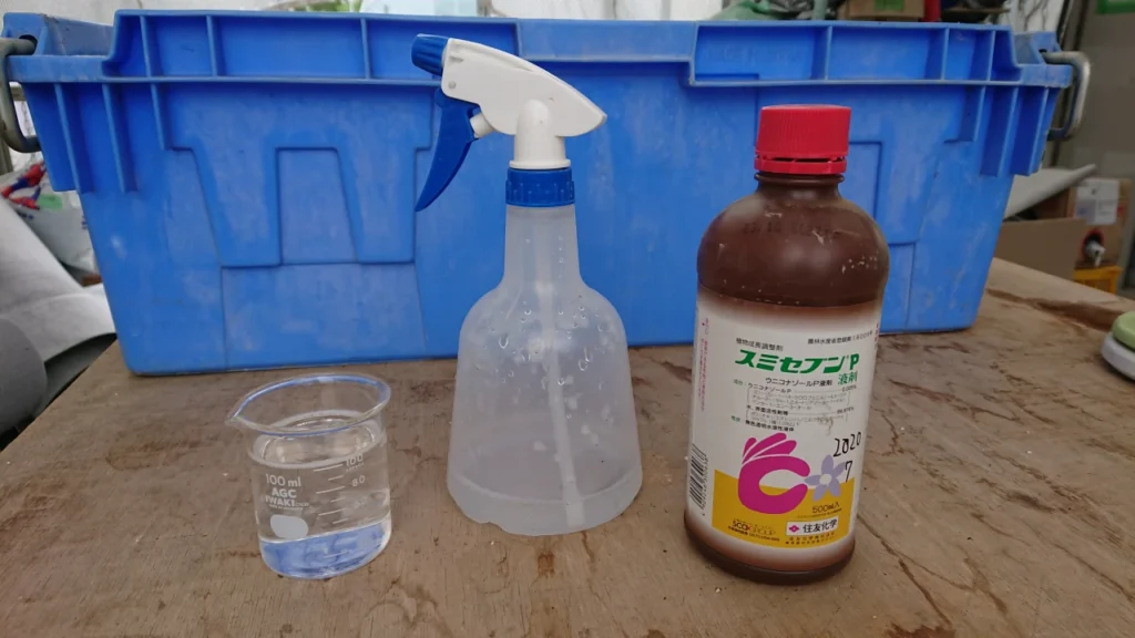 日照とかん水量試験区の①と⑤に散布する矮化剤のスミセブン