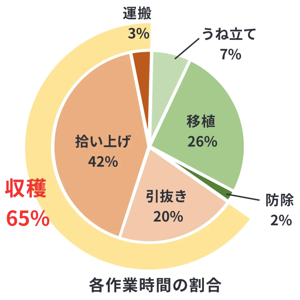 たまねぎの機械化一貫体系の実証試験における10aあたりの各作業時間の割合を示した円グラフ
