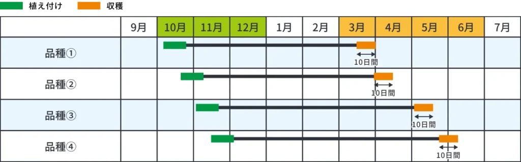 適期で収穫できる栽培面積と品種のバリエーションを表したチャート図