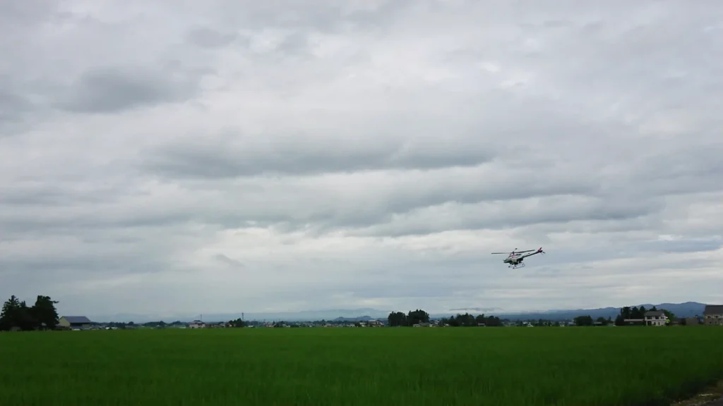 秋田で納豆菌の力を試験している圃場に、ヤマハの産業用無人ヘリコプターで納豆菌の力を散布