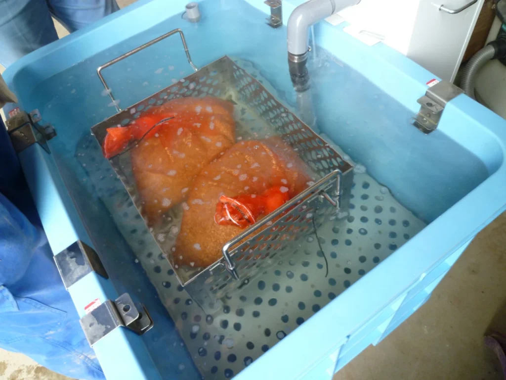 種籾の温湯消毒