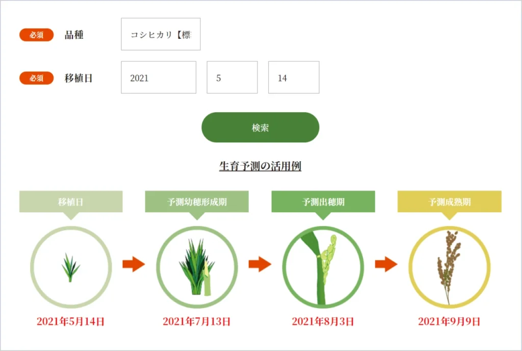 Amoniで試験ほ場の生育を予測した結果のスクリーンショット