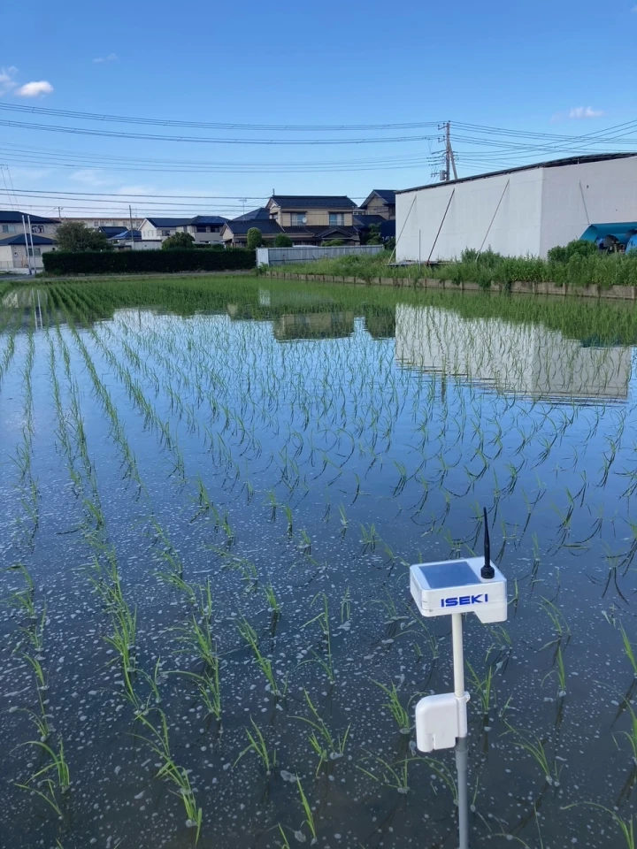 木更津市内のほ場に設置した水位センサー「水田ファーモ」
