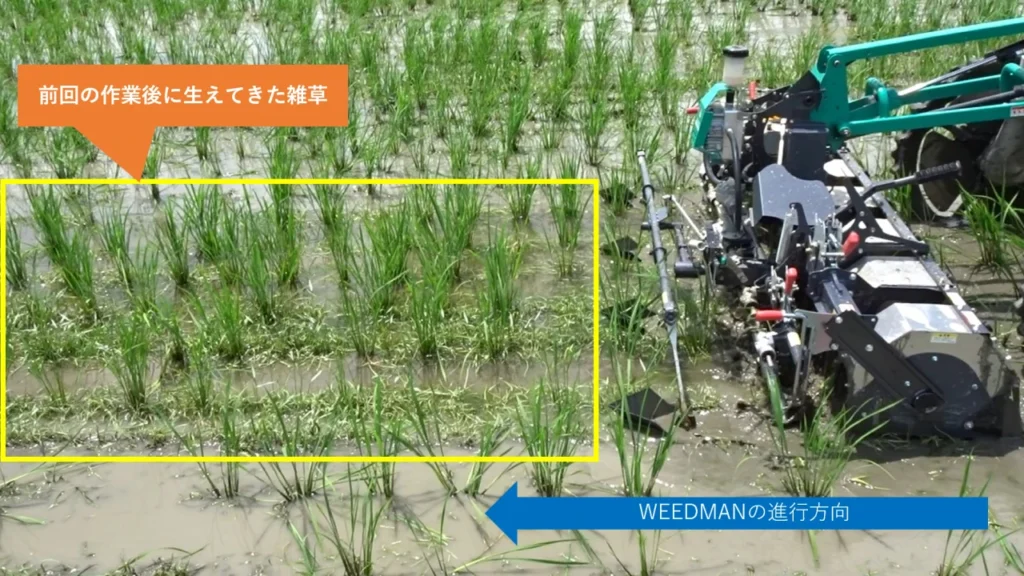 WEEDMANの進行方向に雑草が繁茂している様子を示した除草作業