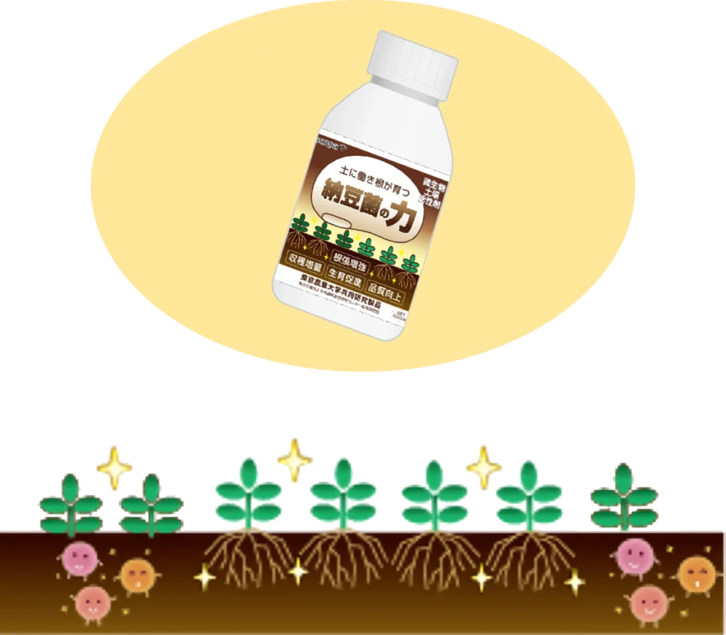 納豆菌の力が作物に作用するところを示したイメージ画像