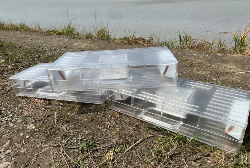 大栄工業のジャンボタニシトラップ「スクミッチ」