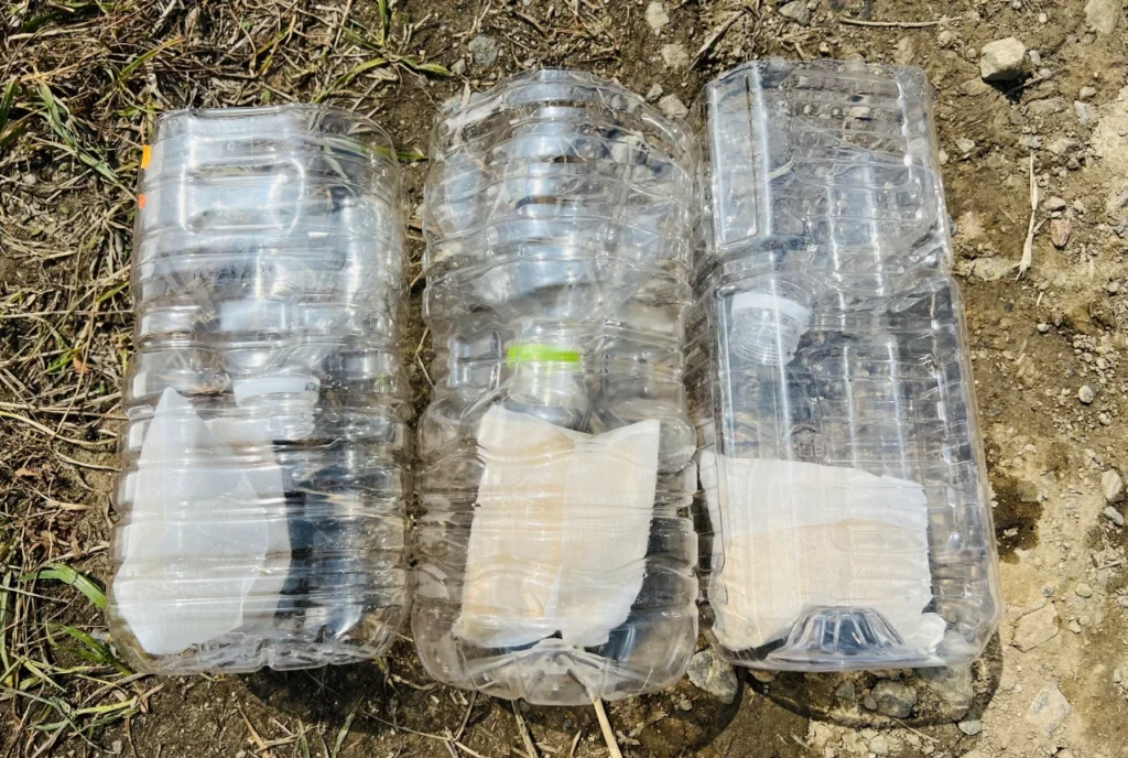 ペットボトルで制作したジャンボタニシ捕獲器