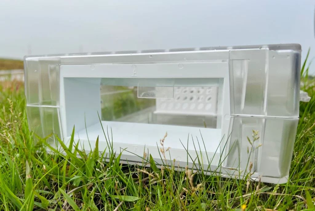 スクミッチの入口部分の拡大画像