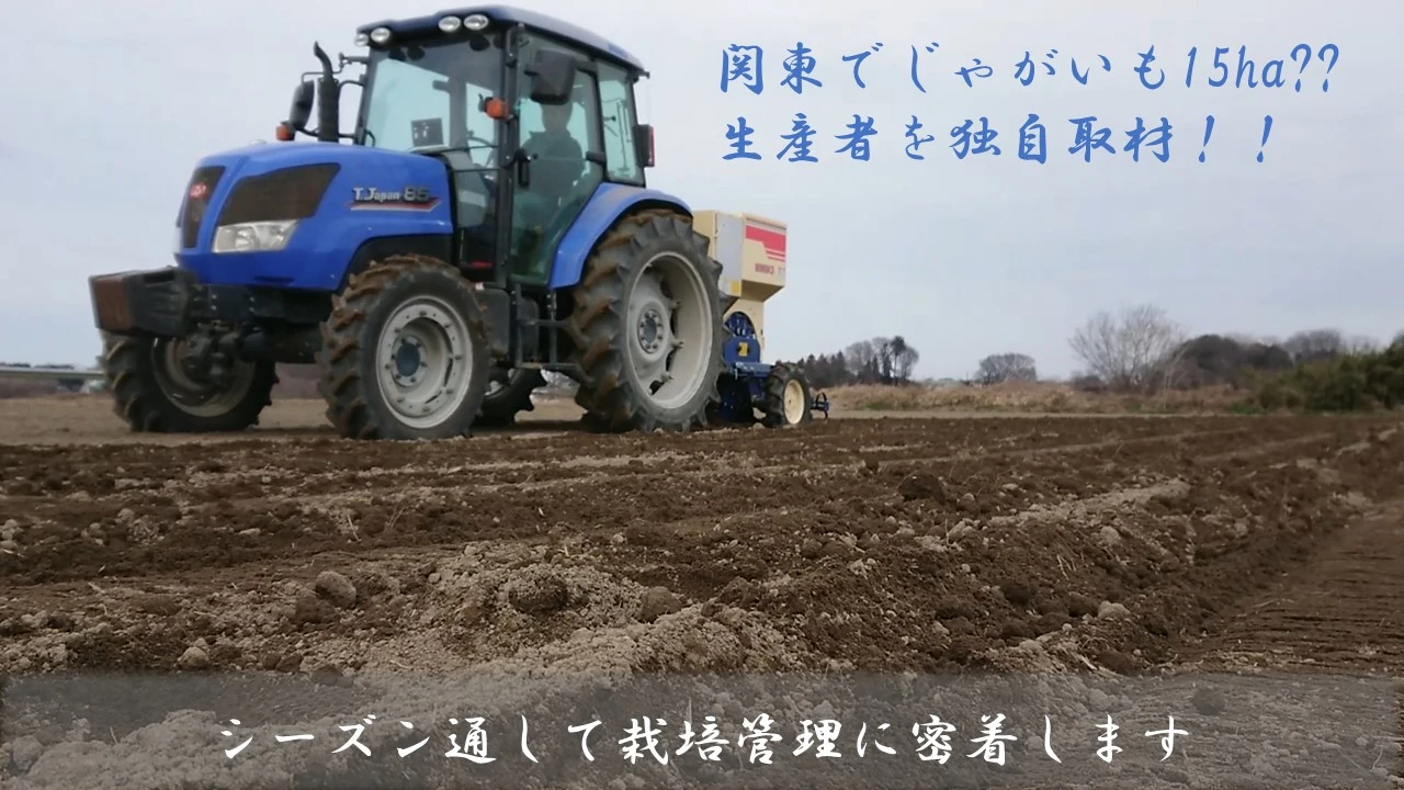 関東でじゃがいも15ha??　生産者を独自取材！！