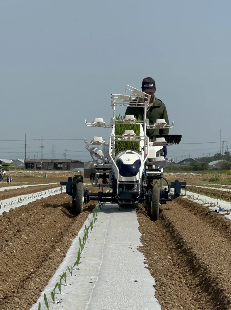 ISEKIの全自動野菜移植機PVZ100で試験ほ場にスイートコーンの苗を植え付けているところ