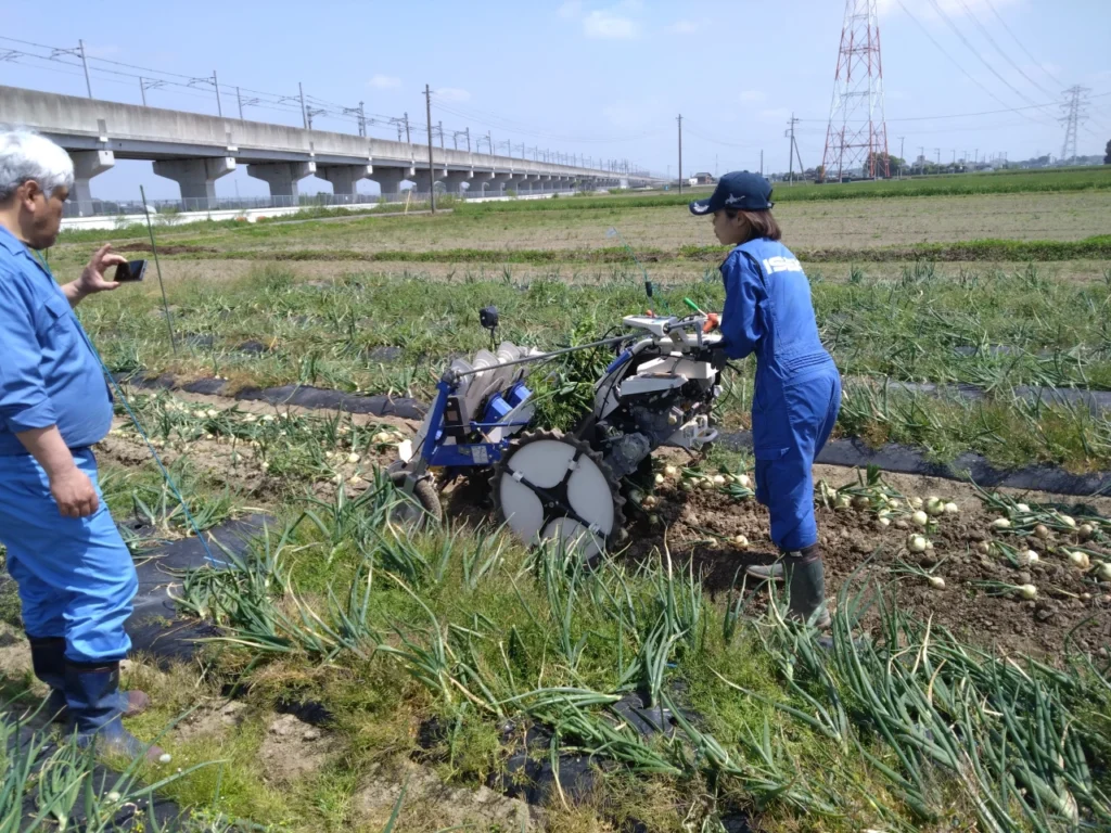 ISEKIのたまねぎ収穫機「VHU20」で収穫作業中