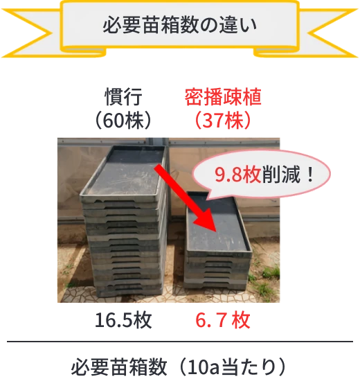 慣行苗と密播苗における必要苗箱数の違い