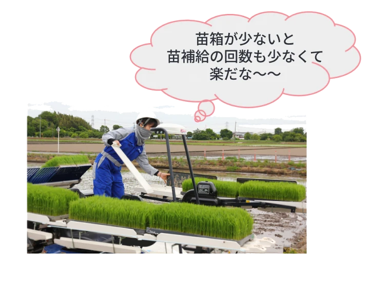 田植機に苗を補給しているところ。密播疎植栽培で苗箱数が少なくなることにより苗補給の回数が減り、労力低減につながる