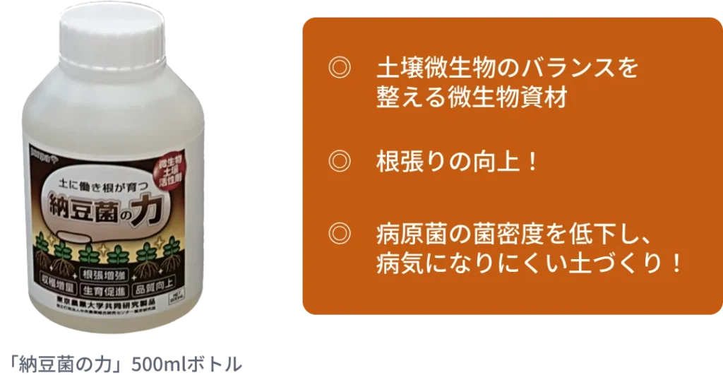 納豆菌の力を説明した画像