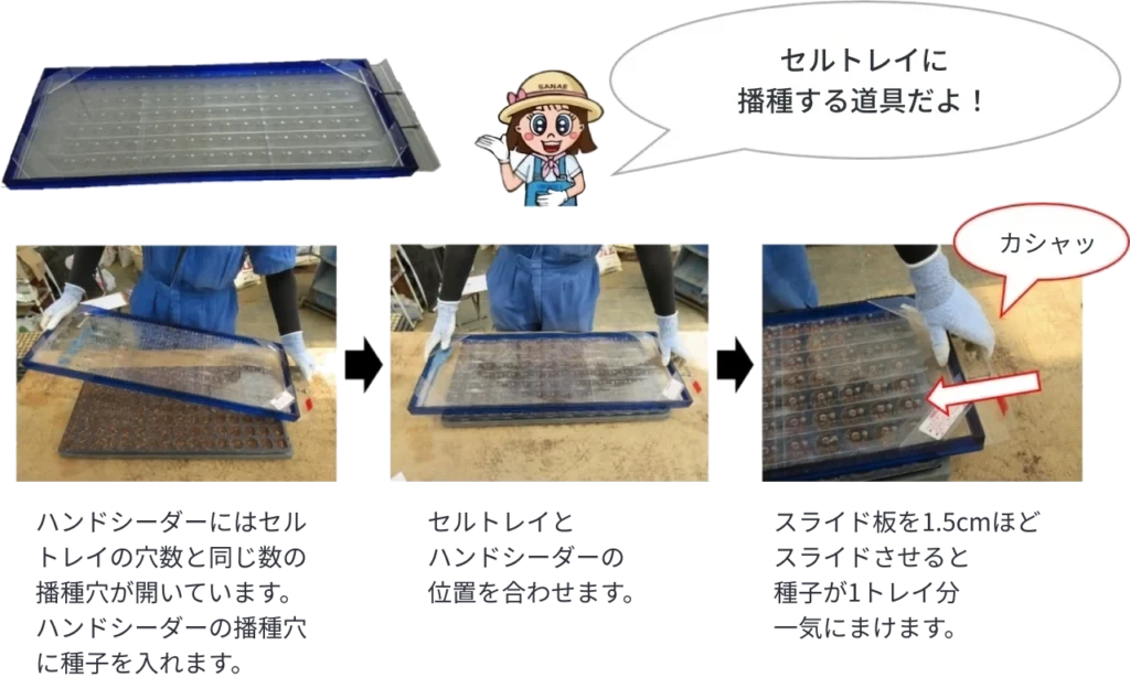 セルトレイに播種する際に使用するハンドシーダーの紹介と使い方