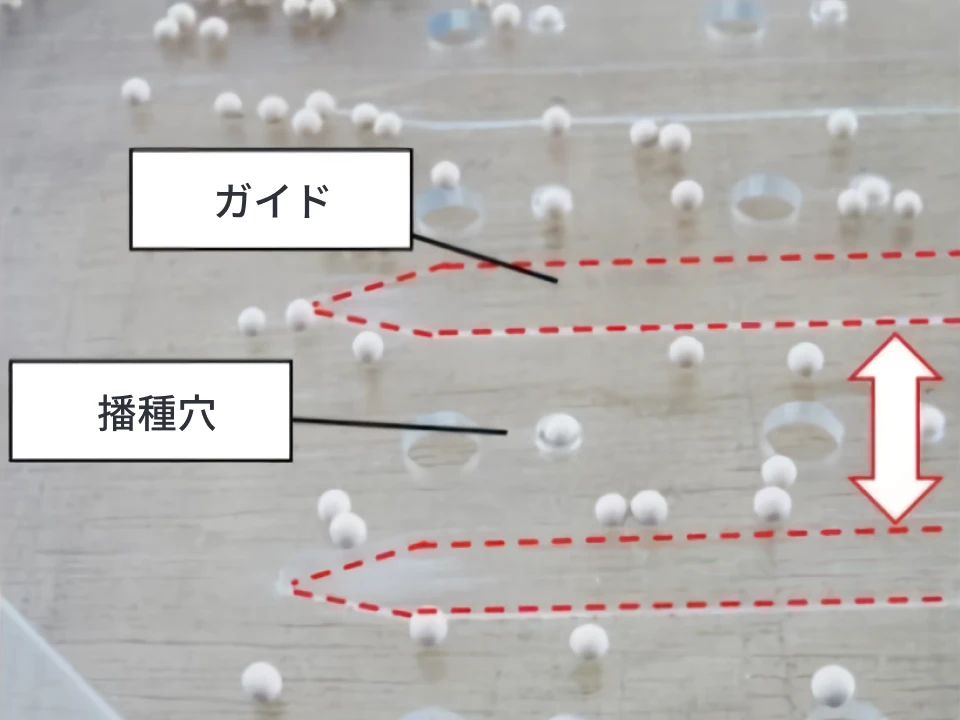 ハンドシーダーを揺り動かしたときの種子・ガイド・播種穴の拡大画像