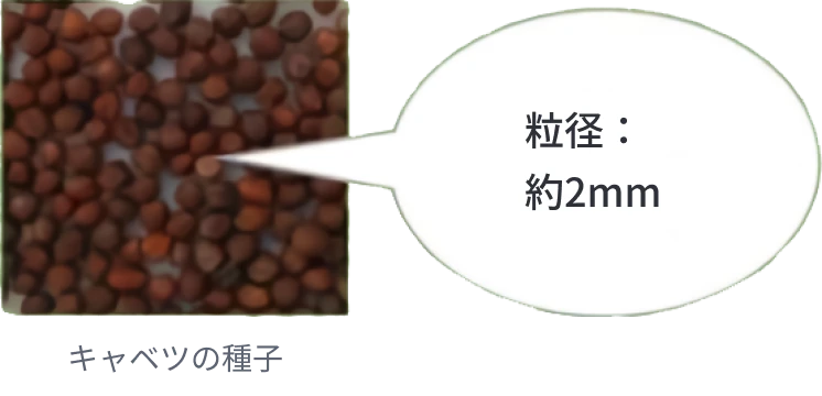 ハンドシーダーでは種できる種類の種子の画像