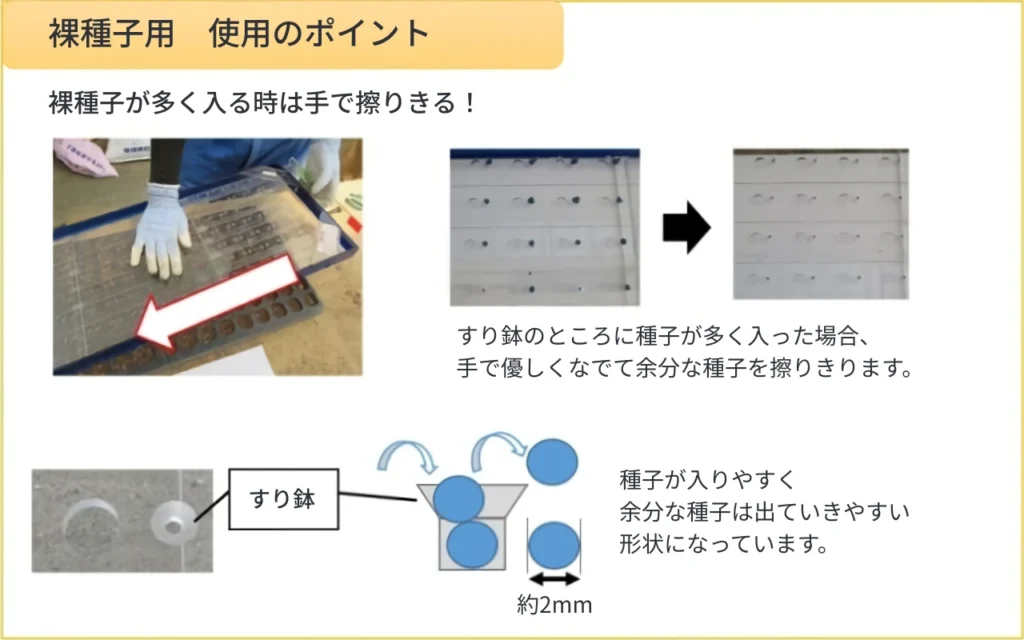 ハンドシーダーで裸種子を播種する場合の使用ポイント