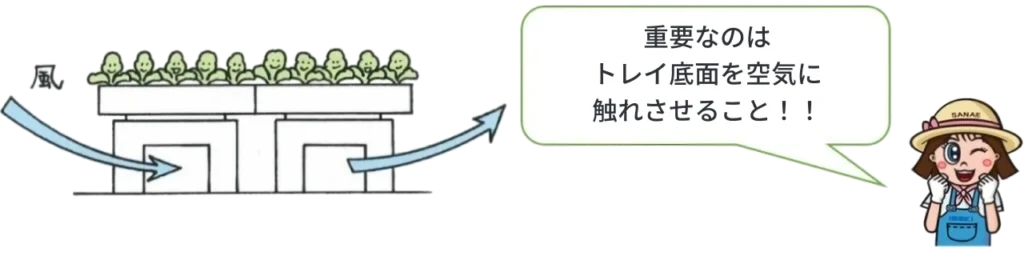 浮かし育苗で育苗管理を行うやり方を示したイメージ画像