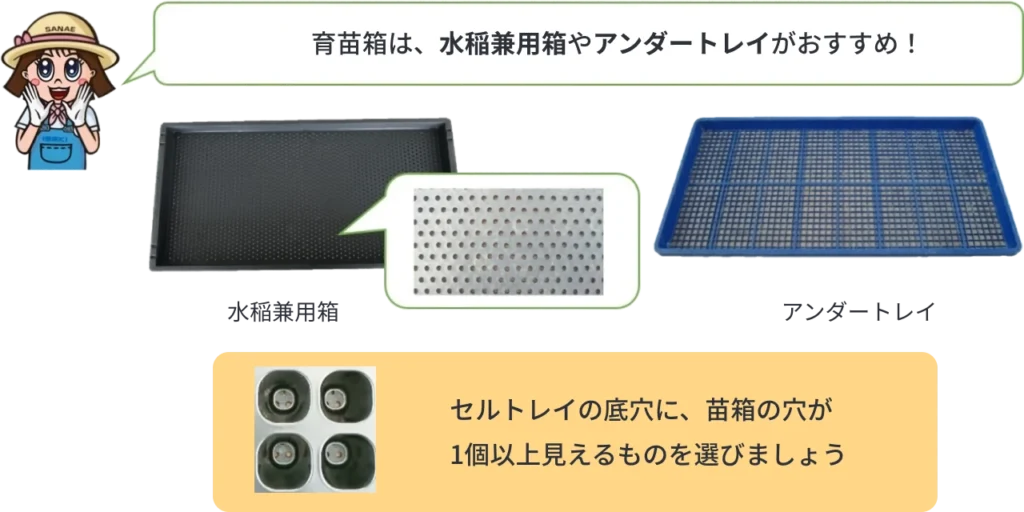 育苗箱の選び方の説明とポイントの紹介