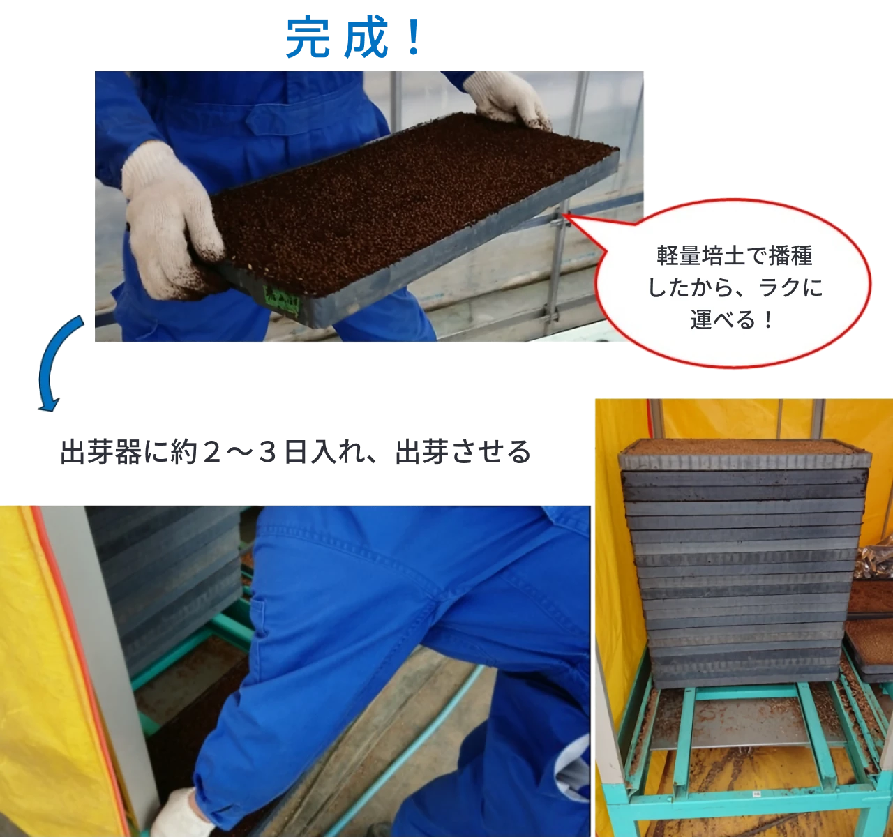 ヰセキ純正苗箱を出芽器に入れている