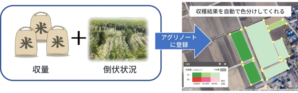 収量と倒伏状態を基準にアグリノートで色分けされた圃場マップ