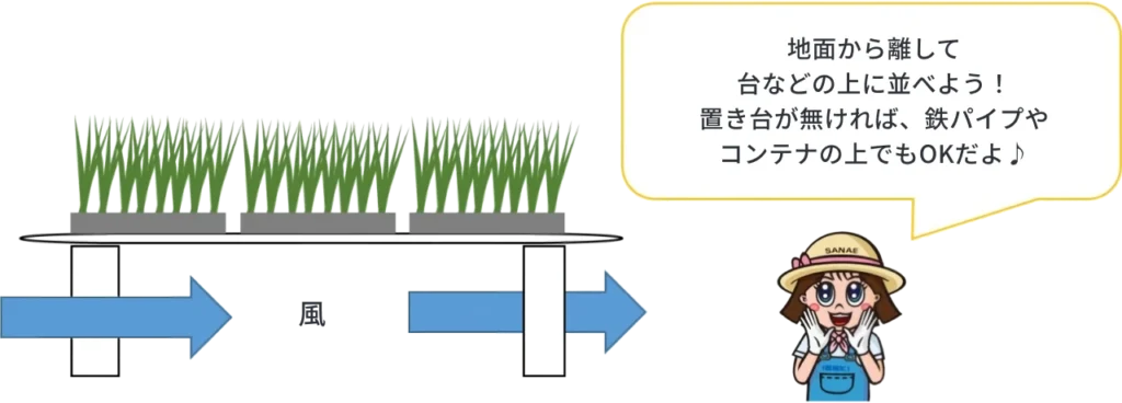 苗作りのポイント：浮かし育苗について説明したイメージ図