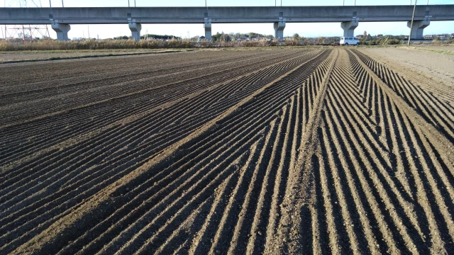 砕土・整地作業が完了した試験圃場の画像