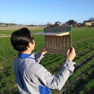 簡易スリットを使用して生育調査を行っている様子