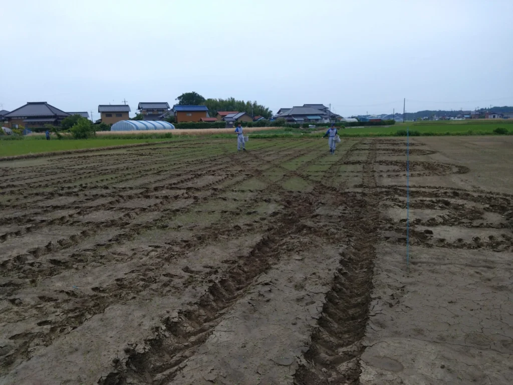 施肥