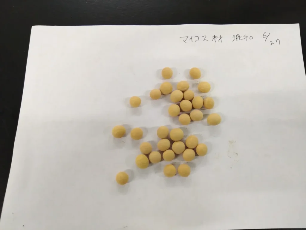菌根菌資材ヤマガタデザインアグリ株式会社のマイコスWP