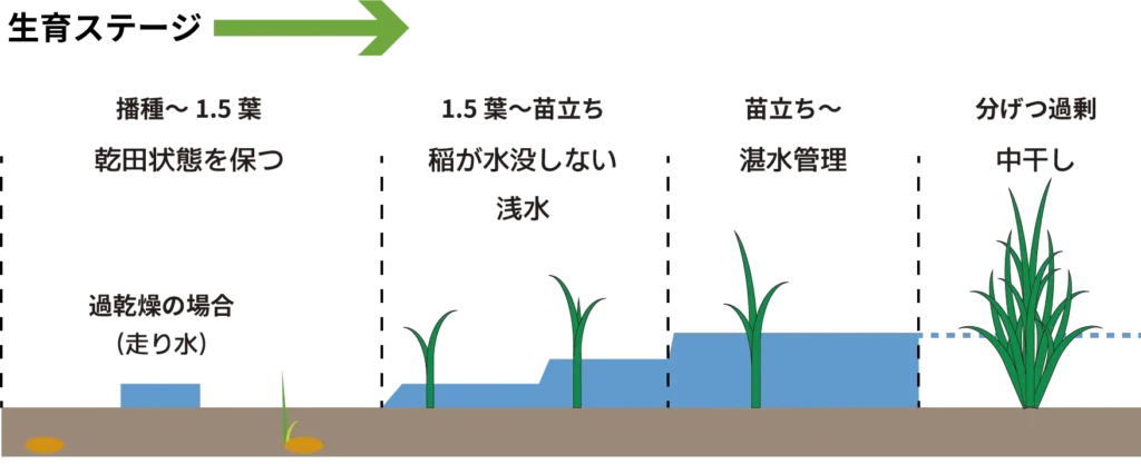 水管理の図
